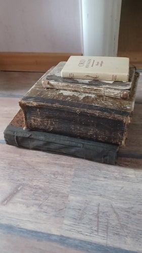 Biblisk Historia, af H. Lundgren, 1880