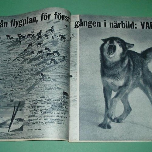 SE nr 19 1959 - Ingo, Marianne Wilson. Margit Päiviö m.m.