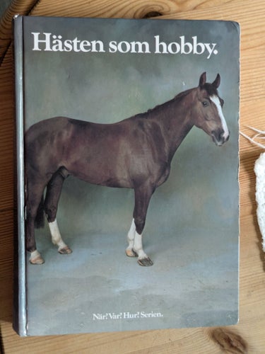 Hästen som hobby.