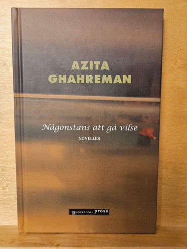 Någonstans att gå vilse - noveller, Azita Ghahreman