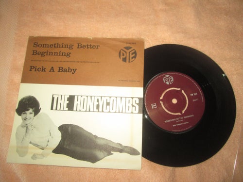 HONEYCOMBS SOMETHING BETTER BEGINNING