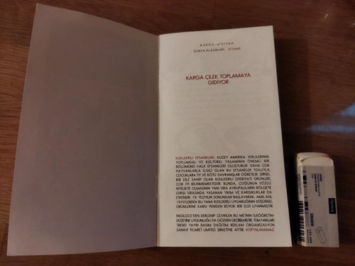 Kizilderili efsaneleri - Karga cilek toplamaya gidiyor. minibok på turkiska