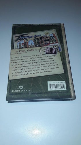 Bortom Spiderwick bok 1 - Najadens sång