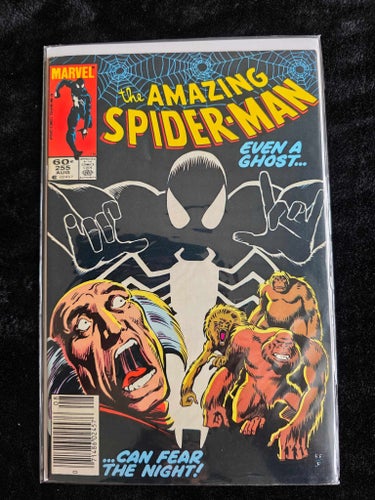 Amazing Spider-Man (1963 1st Series) #255