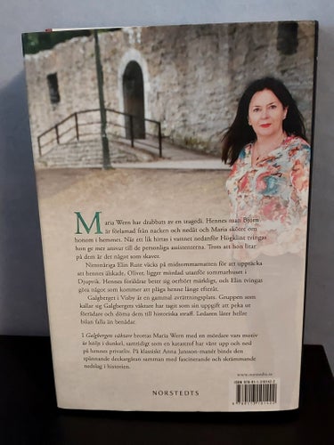 Galgbergets väktare av Anna Jansson – Bok 22