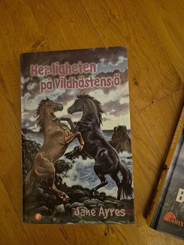 Två ungdomsböcker om hästar