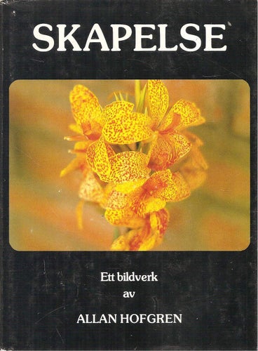 Allan Hofgren: Skapelse. Ett bildverk.