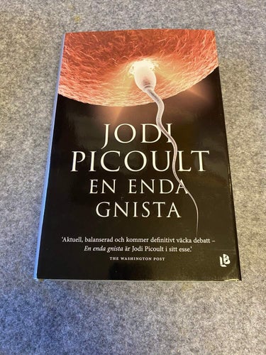 Jodi Picould - En enda gnista
