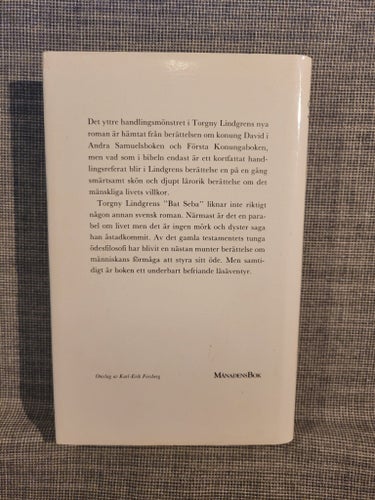 Bat Seba av Torgny Lindgren, 1984