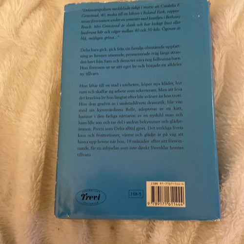 Utan bagage av Anne Tyler, 1980