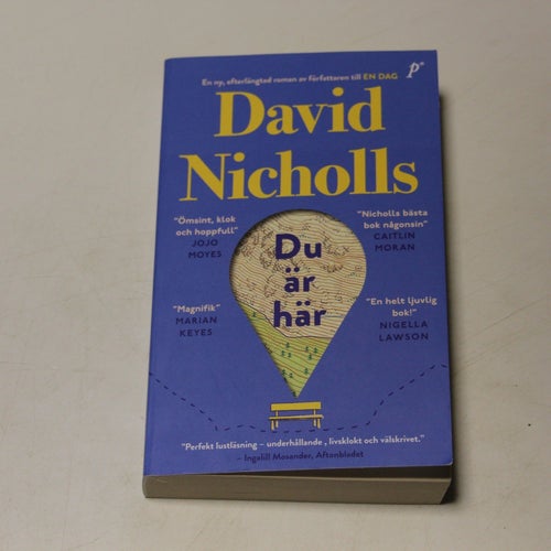 DU ÄR HÄR - David Nicholls
