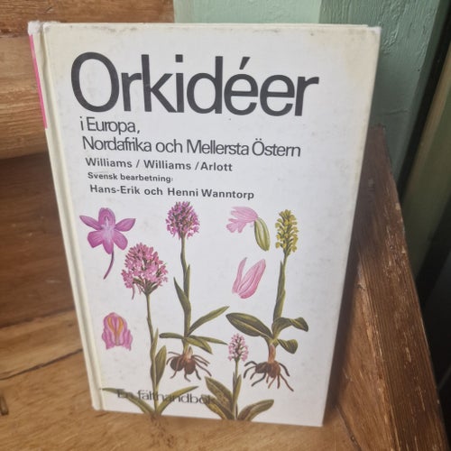 Orkidéer i Europa, Nordafrika och Mellersta Östern av Williams / Williams /