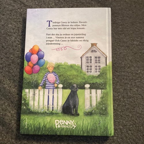Hästtokig? Läs Ponnydrömmar och jojotrick av Nancy Belgue