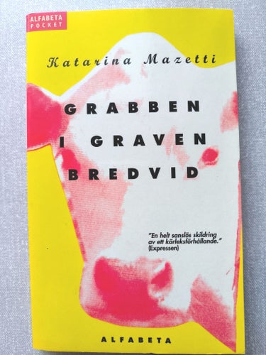 Grabben i graven bredvid - Katarina Mazetti - 1999