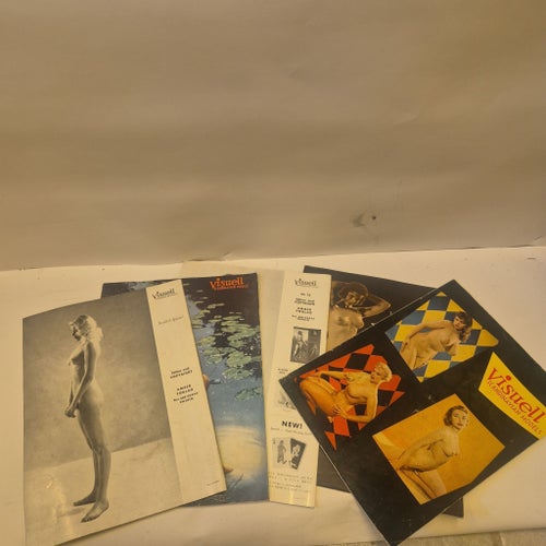 Visuell 1960tal Pinup tidningar