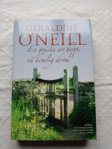 En gnista av hopp, en hemlig dröm - Geraldine O'neill