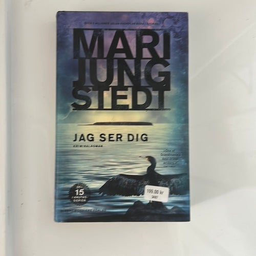Jag ser dig av Mari Jungstedt, Kriminalroman