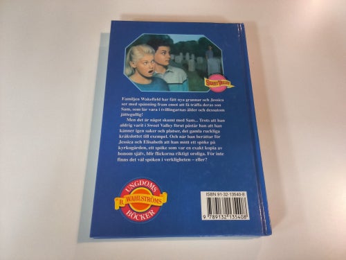 Tvillingarna Spökjakten av Francine Pascal, 1991