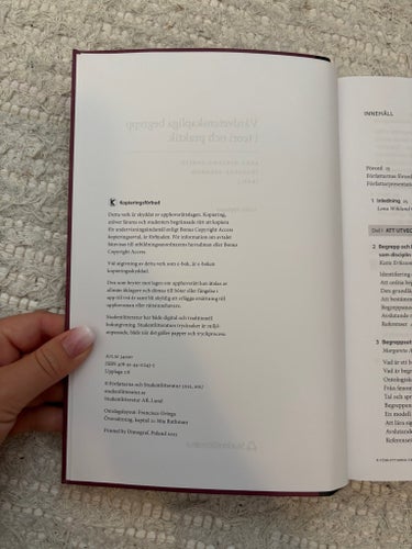 Vårdvetenskapliga begrepp i teori och praktik av Lena Wiklund Gustin, Ingergerd