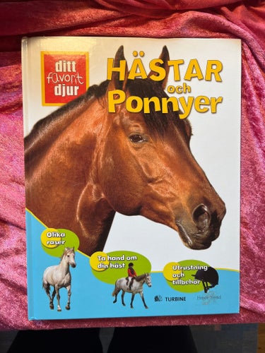 Hästar och Ponnyer av TURBINE
