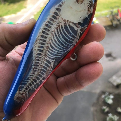 fiskedrag