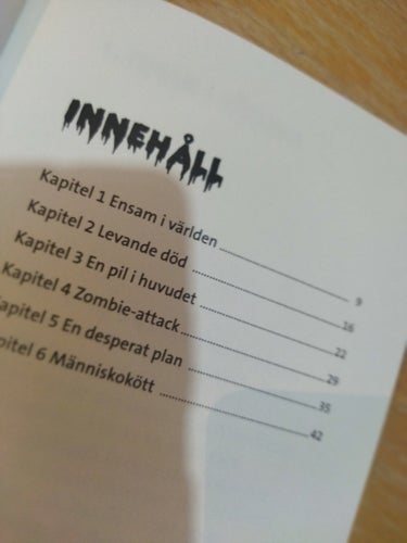 Zombie City. De dödas stad av Benni Bødker. Bok. Very Fine plus, BM