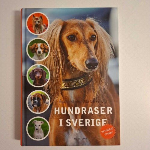 Hundraser i Sverige (inb) reviderad utgåva 2013 rikt illustrerad