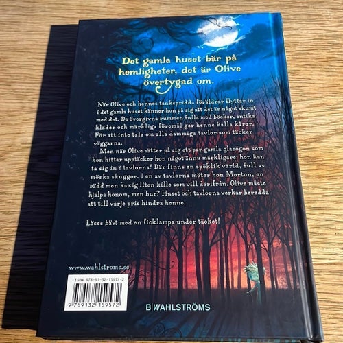 Boken Skuggorna av Jacqueline West