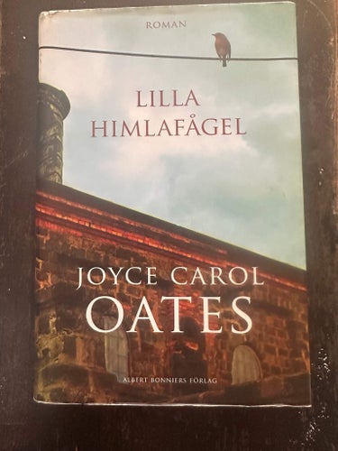 Lilla himlafågel