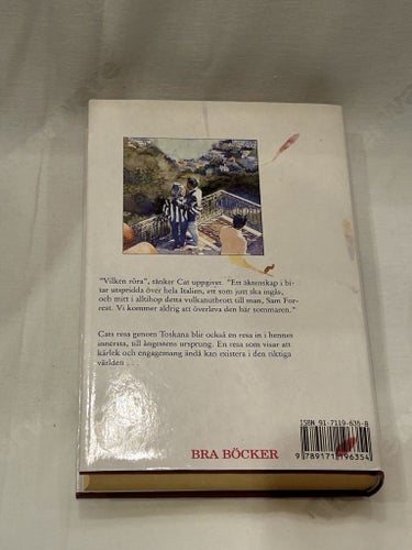 Anne Rivers Siddons – Resan från berget (Inbunden, 1995) - Svensk utgåva