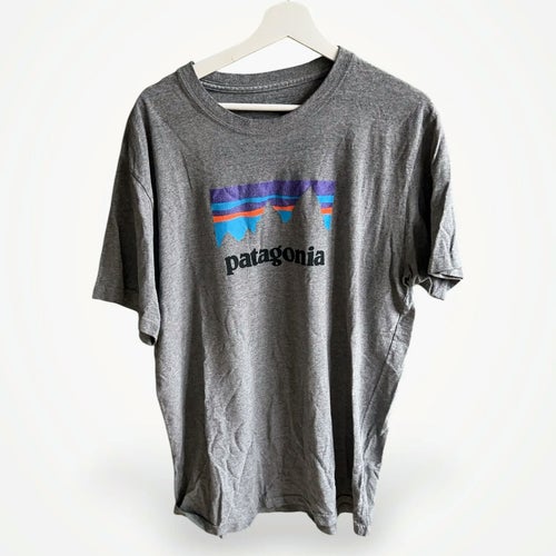 Patagonia-t-shirt