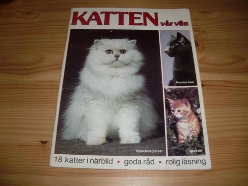 Katten vår vän
