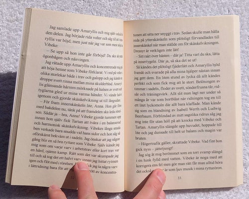 Fånga tjuvryttarna! (ungdomsbok, hästar)