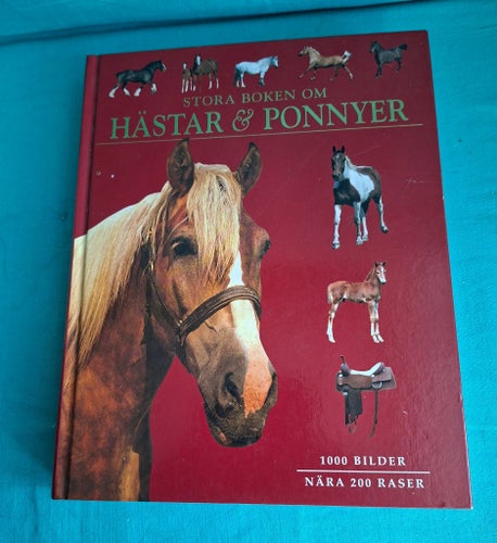 Stora boken om hästar & ponnyer