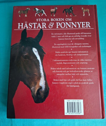 Stora boken om hästar & ponnyer
