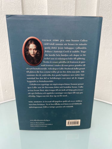 Skuggor från det förflutna av Nora Roberts, 2004