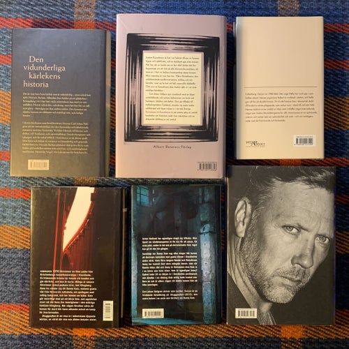 6 x Carl-Johan Vallgren | BOK | Den vidunderliga kärlekens historia Havsmannen