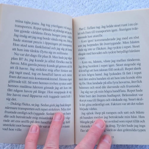 Blue moon – ungdomsbok, hästar