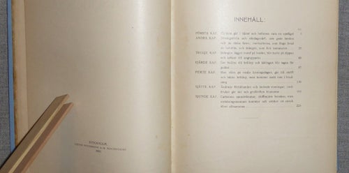 August Strindberg - Hemsöborna & Skärkarlslif. Illustrerad