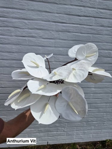 Konstgjorda blommor – Anthurium vit