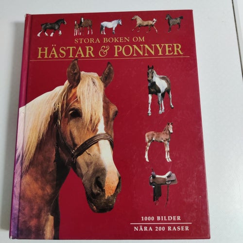 Stora boken om hästar och ponnyer