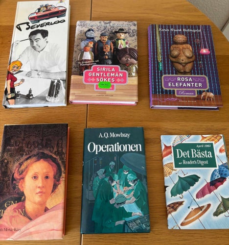 6 inbundna böcker – Karin Brunk Holmqvist, Beverloo, Judith Merkle Riley m.fl.