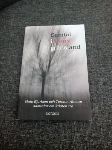 Samtal i trons gränsland av Mats Bjurbom och Torsten Åhman, 2013