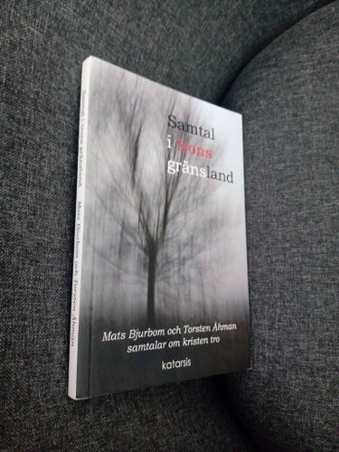 Samtal i trons gränsland av Mats Bjurbom och Torsten Åhman, 2013