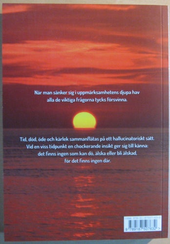 Resenären / Robert Lettard