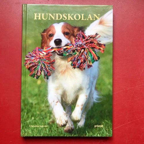 HUNDSKOLAN Christina Ingerslev 2007