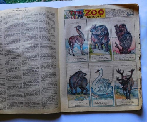 Chicago Sunday tribune. Dec 1923  . Zoo cutouts mm