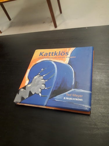 KATTKLÖS OCH ANDRA KATTASTROFER SOM GÖR MIG GALEN