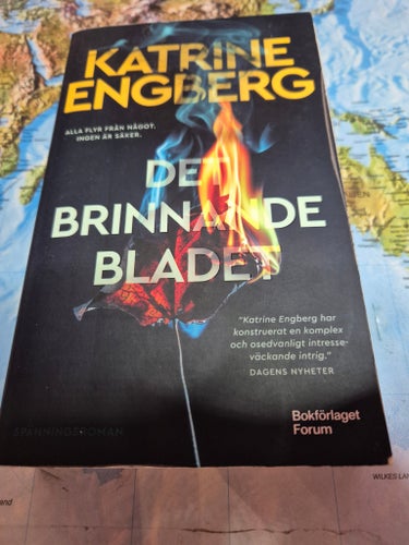 Den brinnande bladet av Katrine Engberg, 2020