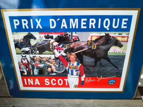 Travhistoria 1995 Prix D'amerique